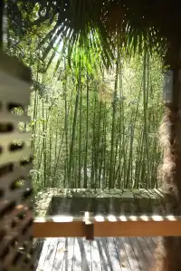 住進莫干山神仙民宿!森林裡藏著一間桑拿房