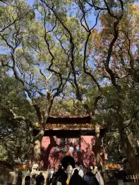 普陀山一日遊實測 普通週末巨大客流