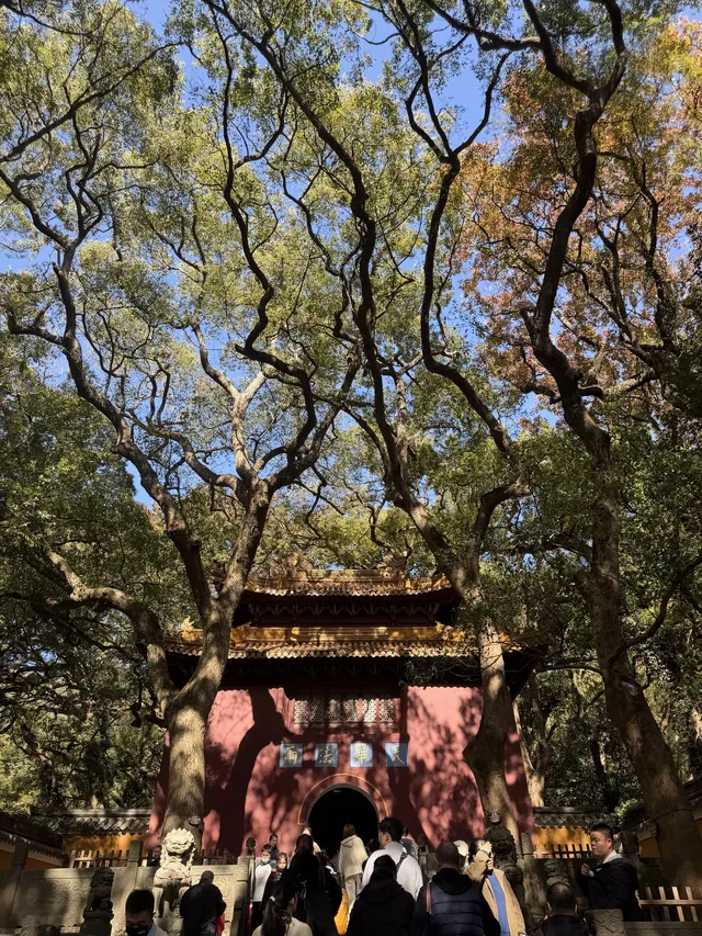 普陀山一日遊實測 普通週末巨大客流 普陀山一日遊實測 普通週末巨大客流