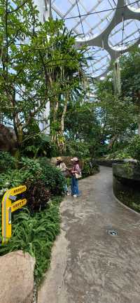 魔都打卡日記世博溫室花園+3號倉庫美食探店