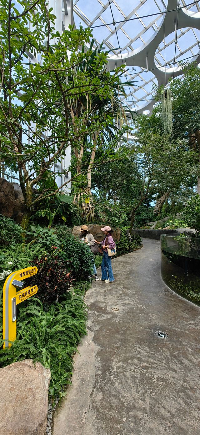 魔都打卡日記世博溫室花園+3號倉庫美食探店 魔都打卡日記世博溫室花園+3號倉庫美食探店