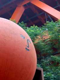 被網圖騙過來的下浩里原來是這樣的……