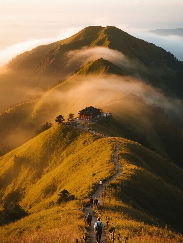 冬季親子省力版!武功山輕徒步攻略帶娃也輕鬆 冬季親子省力版!武功山輕徒步攻略帶娃也輕鬆