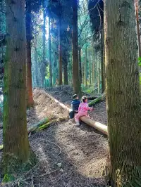 成都霧霾天的救命徒步!蒲虹路6公里,拿捏!