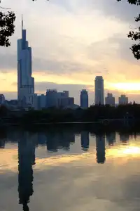 真的會反覆愛上玄武湖的深秋