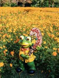 深圳0元打卡:黃秋英花海+萌系雕塑太出片