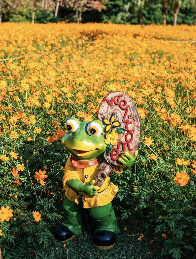 深圳0元打卡:黃秋英花海+萌系雕塑太出片 深圳0元打卡:黃秋英花海+萌系雕塑太出片