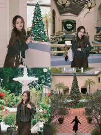 香港8小時拍完漂亮聖誕樹(挑戰成功版!)