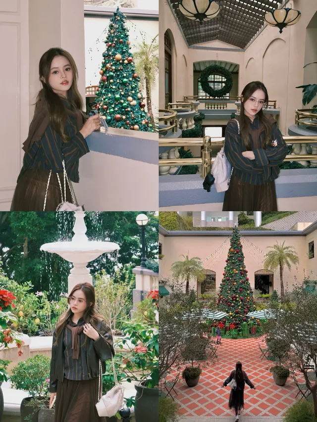 香港8小時拍完漂亮聖誕樹(挑戰成功版!) 香港8小時拍完漂亮聖誕樹(挑戰成功版!)