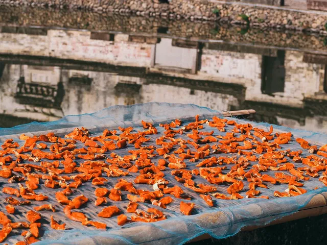 想永遠住在縉雲今天的陽光裡! 想永遠住在縉雲今天的陽光裡!