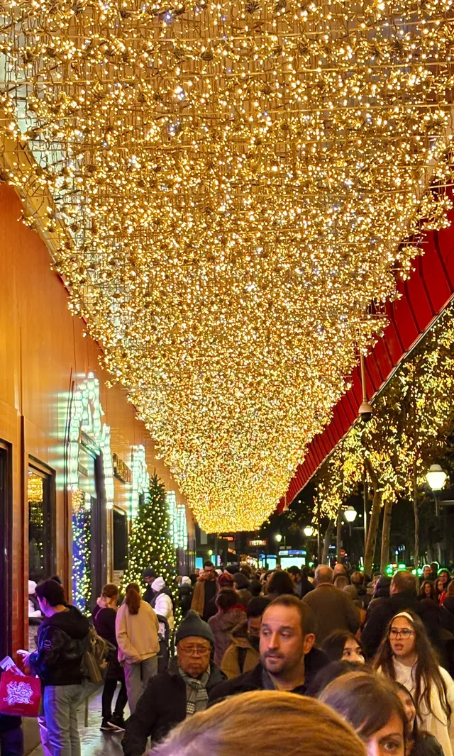 法國聖誕氣氛超濃厚！