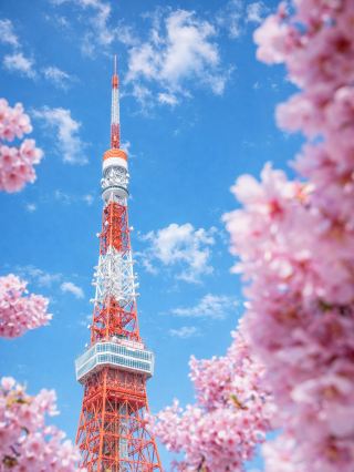 List of 18 Cherry Blossom Spots in Tokyo