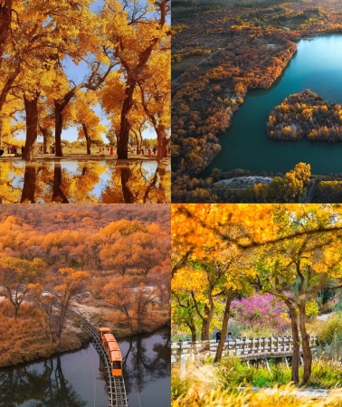 南疆の精華純粋な8日間の旅行ガイド | Trip.com カシュガル