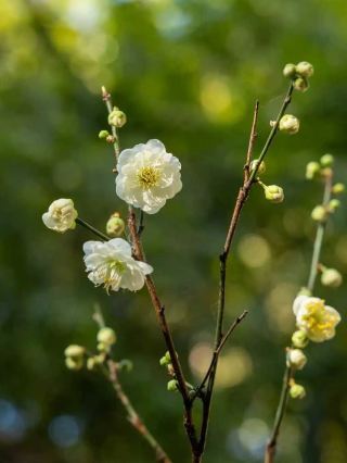 낯선 구름이 오다｜숲 속에 숨은 은둔의 시간