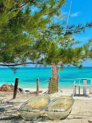 말레이시아 맞춤 여행, 3k+에 완성!!