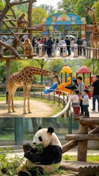 鄂州園博園玲瓏動物園五月遛娃攻略