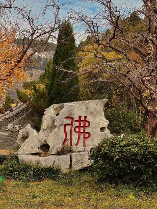 泗水（シースイ）の安山で、心安らぐ山寺デートを満喫。