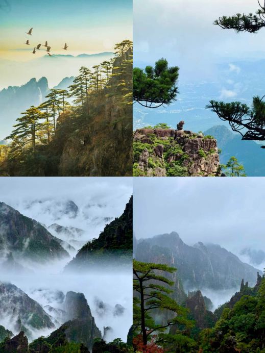 一生に一度は行くべき！黄山を訪れたら他の山は見劣りするというのは