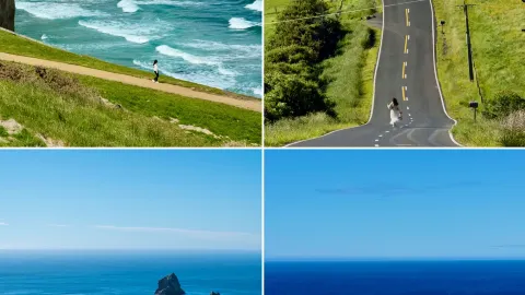 ニュージーランドナニー級攻略|北島南島ダブル周遊 — traveler post in ワイカト地方