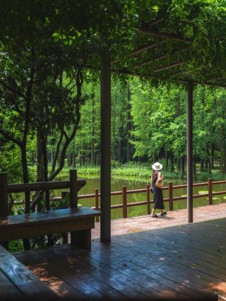 99% of people miss this! A hidden gem in Binjiang Forest Park