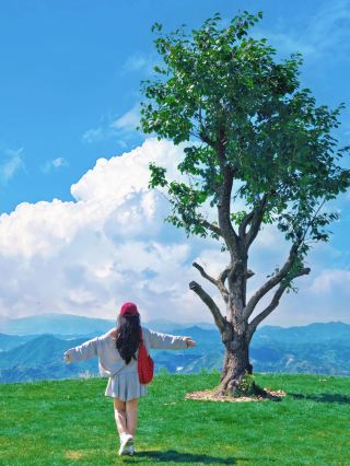 江浙滬雲端避暑秘境山裡躺平一整個夏天