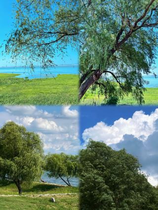 ฉันใช้เวลาสามวันในผิงติ้งซานและหลีกเลี่ยงพาดหัวข่าวล่อคลิกได้หมด! เชื่อคำแนะนำของฉันเถอะ!