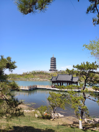 Yue Rong Park is comprised of three interconnected sections: south, central, and north. The central section features a pagoda, which I particularly love. The park is located in the Rongdong area of ââXiong'an New Area, covering an area of ââapproximately...