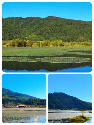 I Watched the Sun Rise Over Floating Grasslands — Tengchong Beihai Wetland Broke Me in the Best Way