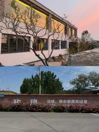 誤入玫瑰秘境濟南莊園民宿的鬆弛感假期