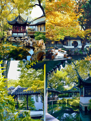 Suzhou is worth a visit this golden autumn