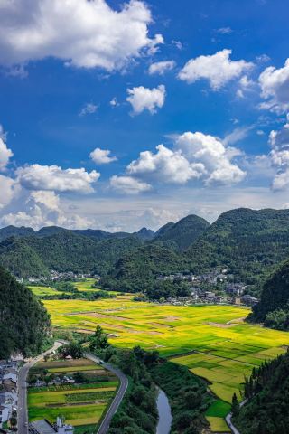 興義萬峰林稻田徒步