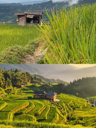 Liupanshui Road Trip | Journey to Jiabang Rice Terraces, a pastoral masterpiece hidden in the mountains
