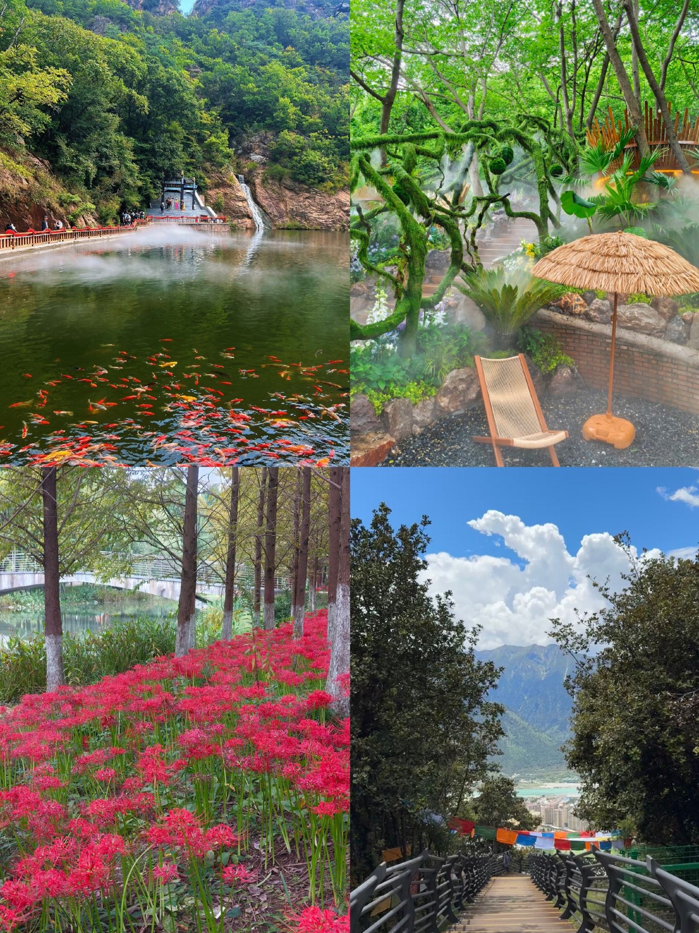 I've officially given up on Nanjing. Here, you can relax for just 300 per person, with fewer crowds and even better scenery.