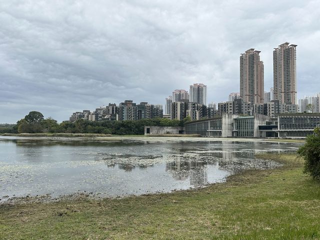 本地遊 | 香港濕地公園 | 季節限定橙紅色落羽松