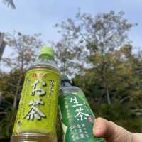 春天嚟啦～鳥語花香～嘆個茶～