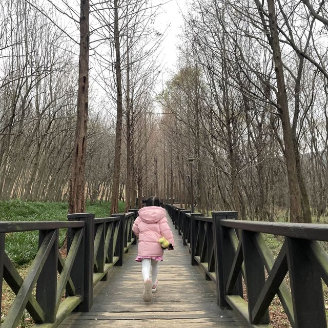 🌿광주호 호수생태원🌿