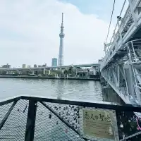 淺草賞櫻賞晴空塔😍