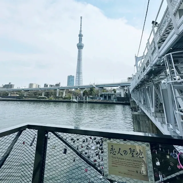 淺草賞櫻賞晴空塔😍