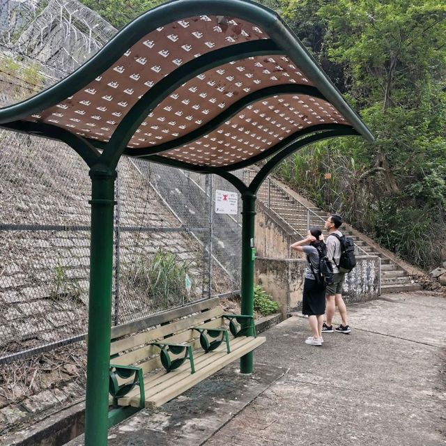 天陰陰散散步