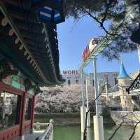 매직아일랜드와 벚꽃의 환상적인 콜라보, 석촌호수 벚꽃축제 🌸