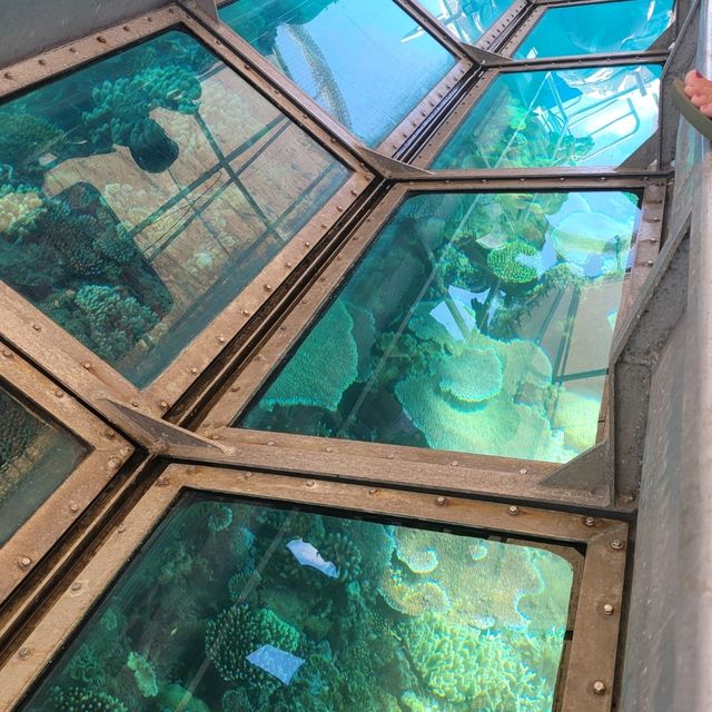 開恩茲大堡礁