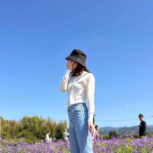 お花畑