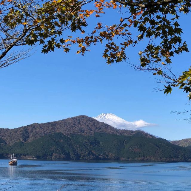 日本🇯🇵輕鬆郊游徑🫶🏻享受大自然☺️森林系旅行🧳