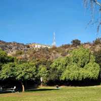 HOLLYWOOD🇺🇸 사인 보러 가야할 곳 