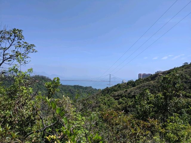 荃灣行山新手路線，超靚景，絕對值得去！