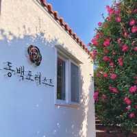 제주 동백꽃 명소 “동백 포레스트”🌺