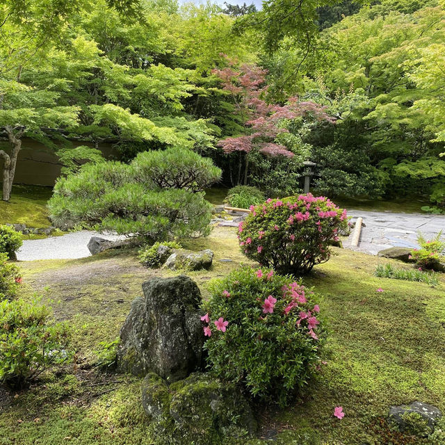 宮城松島「円通院」日本庭園が美しい