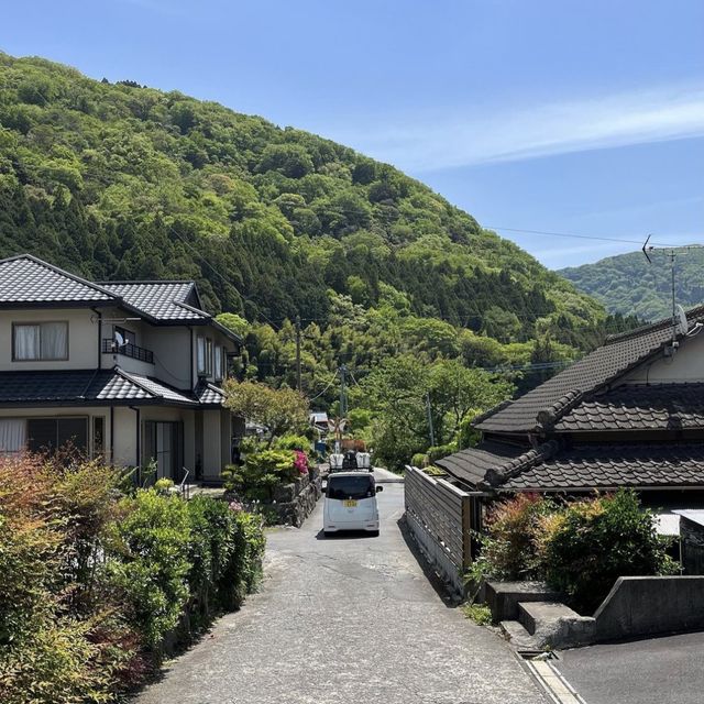 🌳 후쿠오카하면 떠오르는 필수 여행지! 유후인!!