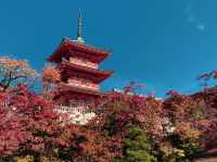 วัดคิโยะมิซุ 清水寺 หรือวัดน้ำใส 🍁⛩️