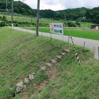 全て茨木産！手作りジェラード　見山の郷
